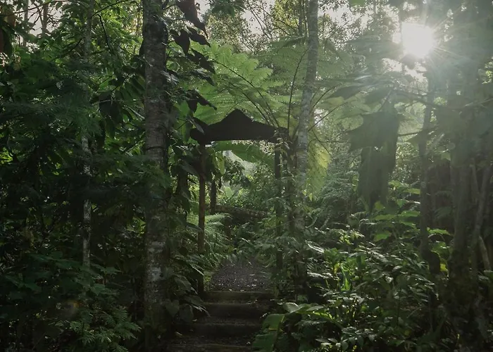 Kawa *